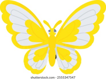 Butterfly Wildflower Insect Field Magic Nature