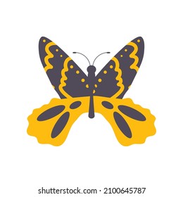 butterfly wildlife animal icon flat