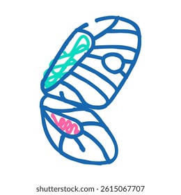 butterfly wing doodle icon sketch vector. butterfly wing sign. isolated symbol illustration