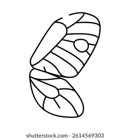 butterfly wing line icon vector. butterfly wing sign. isolated contour symbol black illustration