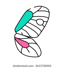 butterfly wing line icon vector. butterfly wing sign. isolated symbol illustration