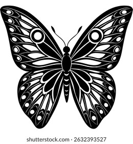 butterfly wing optics vector on white background