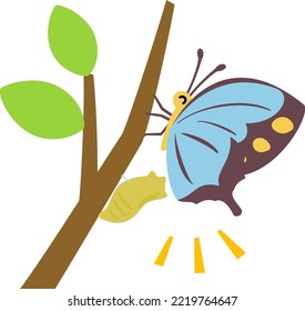 Butterfly winged from a snag on a branch