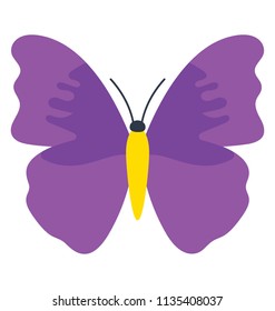 
An butterfly with wingling patterns on wings, this is theea quereus butterfly icon
