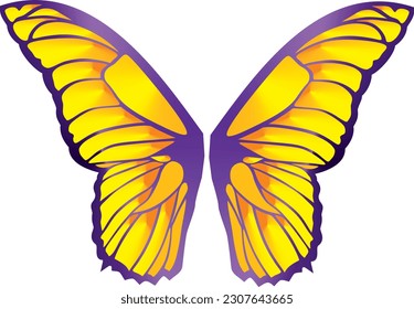 Butterfly wings. Butterfly. Beautiful wings illustration.