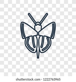 Butterfly with Wings concept vector linear icon isolated on transparent background, Butterfly with Wings concept transparency concept in outline style