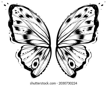 Butterfly wings, monochrome vector illustration