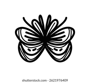 butterfly wings ornament design outline icon symbol