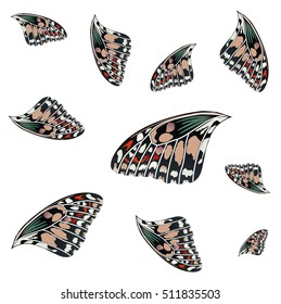 Butterfly wings pattern