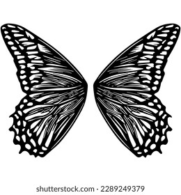 butterfly wings silhouette on a black background