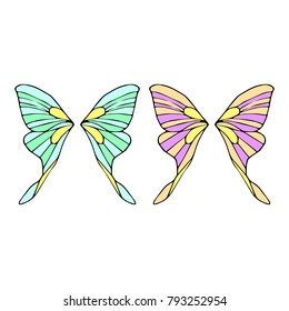 Butterfly wings vector illustration. Doodle style. Design, print, logo, decor, textile, paper.