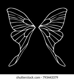 Butterfly Wings Vector Illustration Doodle Style Stock Vector (Royalty ...