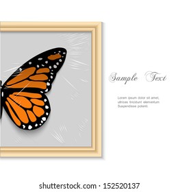 Butterfly in wooden frame. Creative vector illustration
