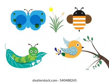 Butterfly Worm Bird Bee Icons Collection Cartoon Style