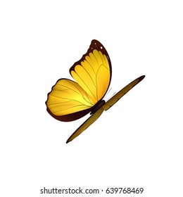 Butterfly yellow isolated on white background. Butterflies Insects Lepidoptera Morpho amathonte. Emblema icons vector illustration