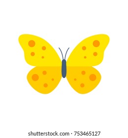Butterfly with yellow wings