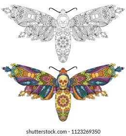 Butterfly zentangle styled with clean lines for coloring book for anti stress, t-shirt design, tattoo and other decorations. Color and outline set