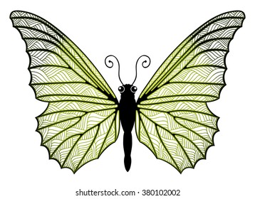 Butterfly zentangle stylized, vector, illustration, hand drawn, pattern.