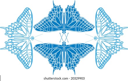 butterfly-17