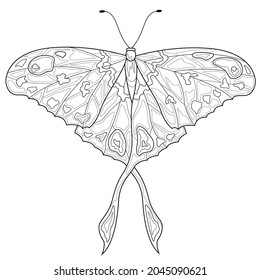 Butterfly.Coloring book antistress for children and adults. Illustration isolated on white background.Zen-tangle style. Hand draw