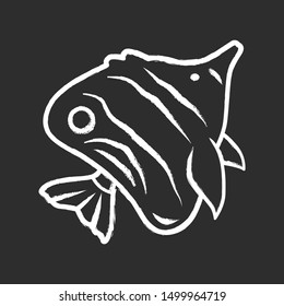Butterflyfish chalk icon. Swimming bright colored fish. Tropical aquatic animal. Marine aquarium. Exotic undersea inhabitant. Fish species, ocean fauna. Isolated vector chalkboard illustration