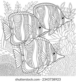 Butterflyfish fishes coloring page. Underwater colouring design.