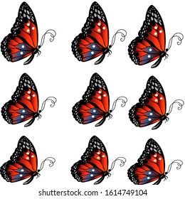 butterflyfly seamless vector art design