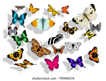 butterflys on white. set of flying multicolot insect