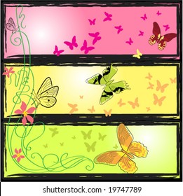 butterfly`s world