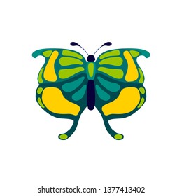 butterfly,stylized, vector illustration isolated on white background