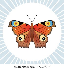  Butterfly.Vector. EPS-10 (non transparent elements), gradient.