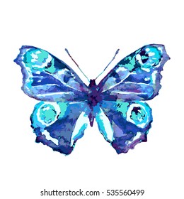 butterfly,watercolor, isolated on a white
