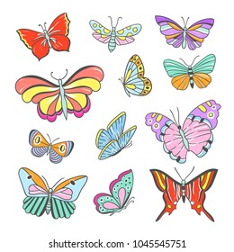 Butterfy collection. Beautiful flying butterflies and insects hand drawn illustrations