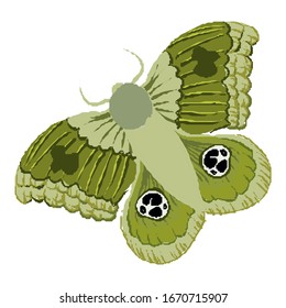  butterfy isolated for spring against a white background. editable vector illustration natural 