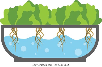 Butterhead Gemüse in Hydroponic System Illustration	