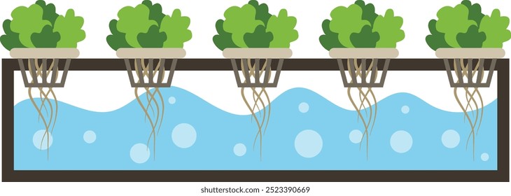 Butterhead Gemüse in Hydroponic System Illustration	