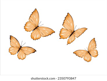 butterly hand drawn colorful design