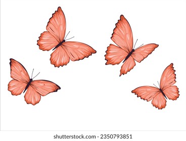 butterly hand drawn colorful design