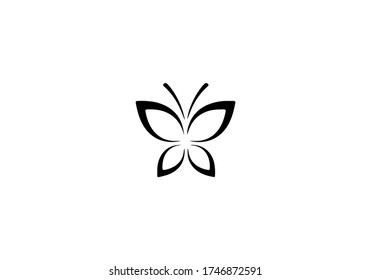 butterly logo icon vector design