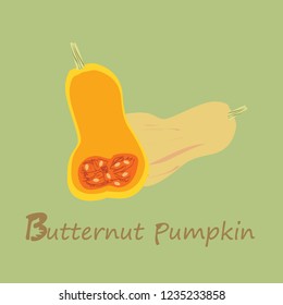 The butternut pumpkin.