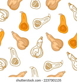 Butternut pumpkin hand drawn pattern. Pattern pumpkin design for banner, Printing ,Packaging, pumpkin related products,Decoration. Pumpkin seamless pattern.