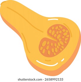 Um abóbora de borboleta cortada ao meio com sementes visíveis em um estilo plano. A cabaça é representada com linhas suaves e um olhar limpo. Ilustração de vetor de desenhos animados.