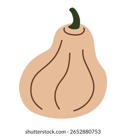 Abóbora de manteiga com haste verde, vegetal de abóbora de outono fresco, produto agrícola orgânico, ingrediente de cozinha cru, alimentos sazonais saudáveis, colheita natural botânica. Ilustração vetorial em estilo plano