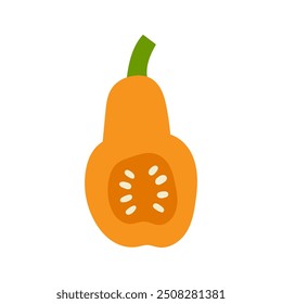 Butternut squash hand drawn flat vector illustration. Fresh vegetable pumpkin print for kitchen, menu, food package design. Healthy cute organic product.