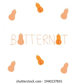 Butternut squash high protein and vitamin vegetable - cute hand drawn cartoon vector and typography