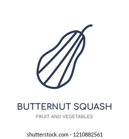 Butternut squash icon. Butternut squash linear symbol design from Fruit and vegetables collection. Simple outline element vector illustration on white background.