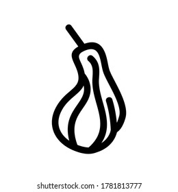 butternut squash icon or logo isolated sign symbol vector illustration - high quality black style vector icons
