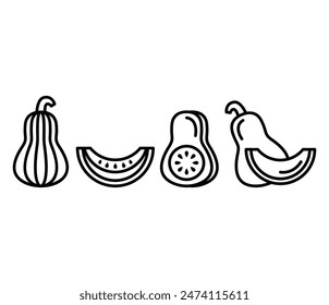 butternut squash icons vector design symbol black white line illustration collection sets