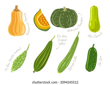 Calabaza de maní, calabaza de kabocha, calabaza de opo y otras verduras exóticas asiáticas. Ingredientes de comida japoneses, coreanos y chinos. Ilustración vectorial dibujada a mano.