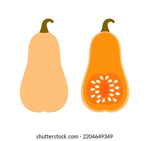 Calabaza de marihuana con semillas. Ilustración del vector